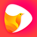 鸽迷短视频appv1.2.34