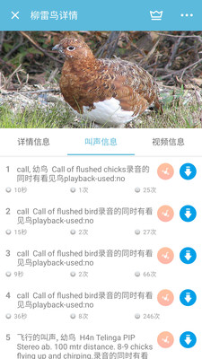 鸟叫声大全app安卓免费版v1.2.30图2