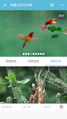 鸟叫声大全app安卓免费版v1.2.30图3