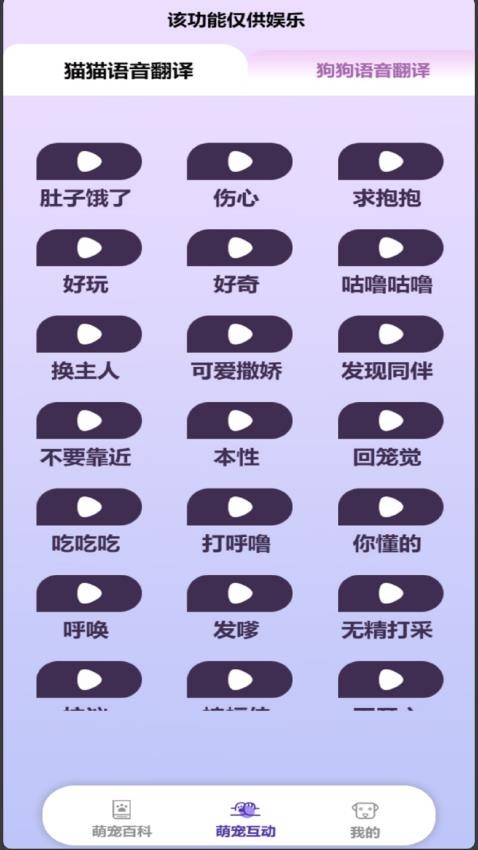 应用界面