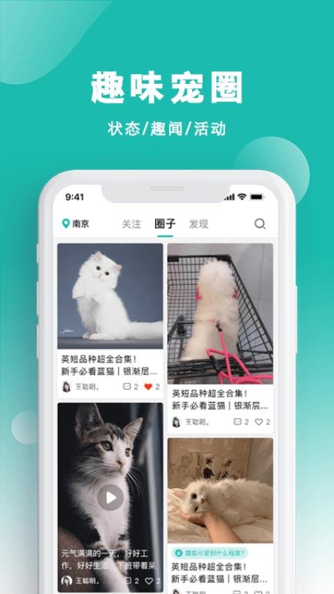 宠都手机版图3