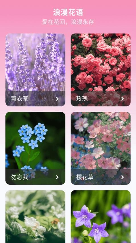 妙手生花官网版图1