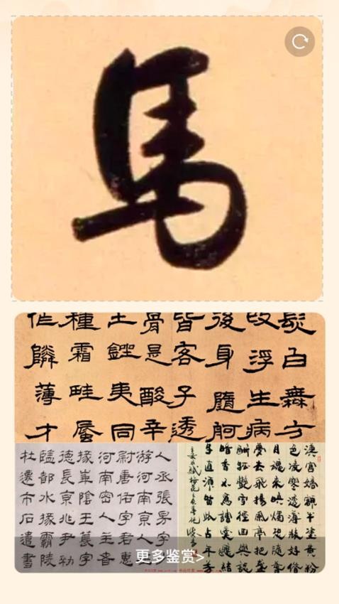 风雅一刷官方版