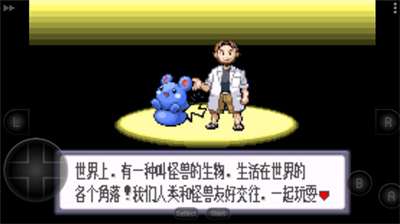 口袋妖怪蓝宝石中文版图2