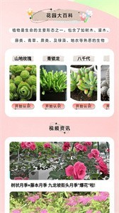 万物识图大师图2