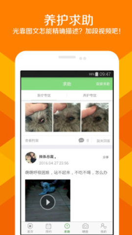 宠管家图1