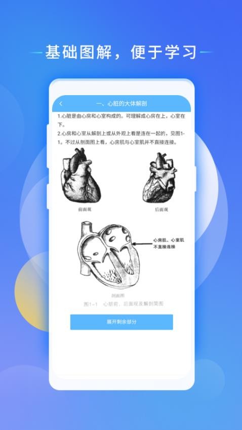 心电助手图3