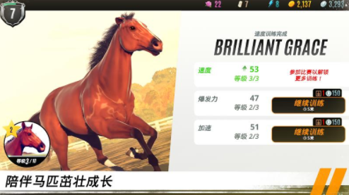 马匹养成竞技图2