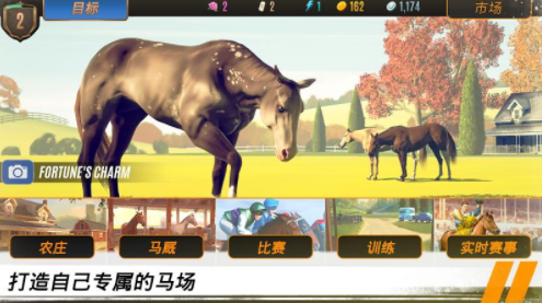 马匹养成竞技图3
