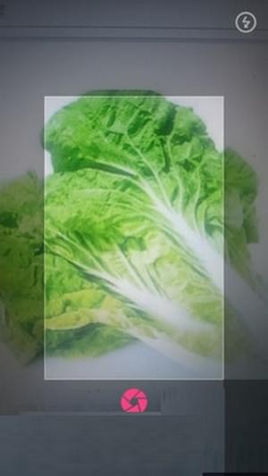 拍照识物安卓版v1.2.3图3