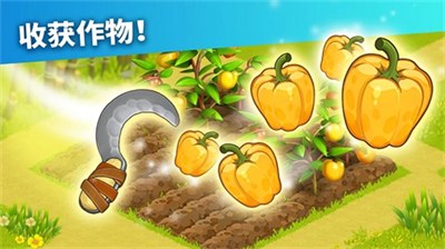 家庭岛2024版最新版v2.3.64图1