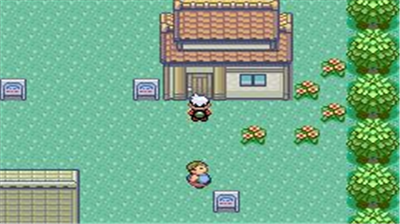 口袋妖怪传说绿宝石v1.3.74图1