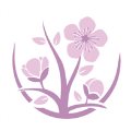 养生菜谱appv2.1.10