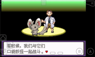 口袋妖怪漆黑的魅影下载v2.3.69图3