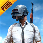 pubg国际服最新版下载v1.3.79