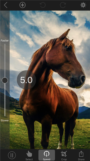 Plotagraph pro中文破解版v4.0.0图3