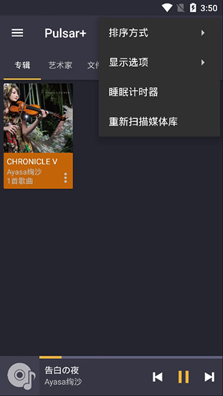 脉冲音乐播放器prov2.3.8图4