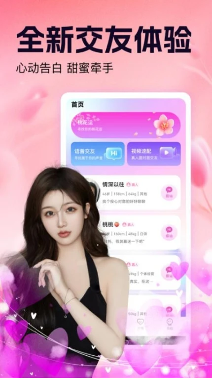 功能界面
