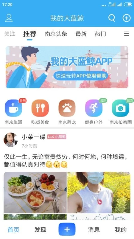 我的大蓝鲸免费版图2